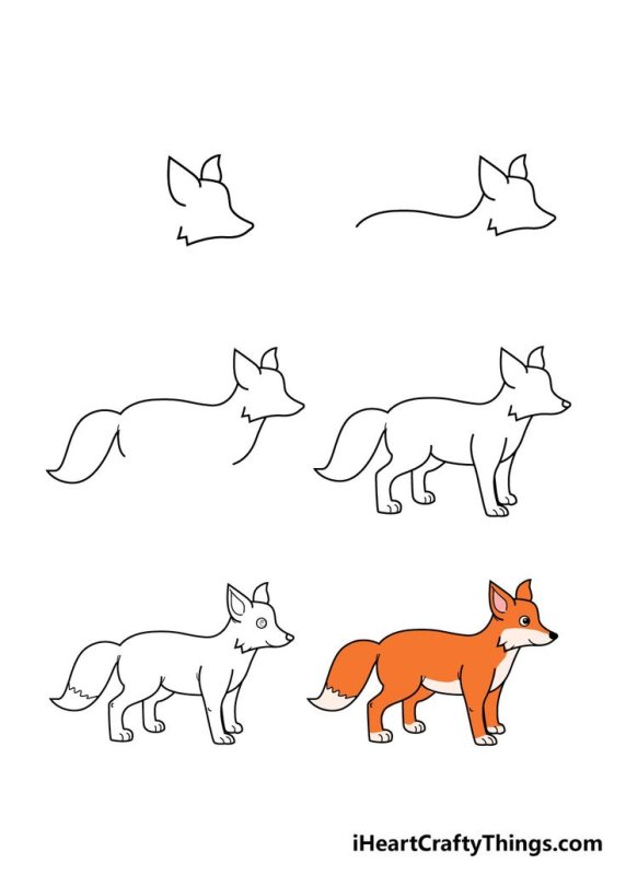 Поэтапный рисунок лисы