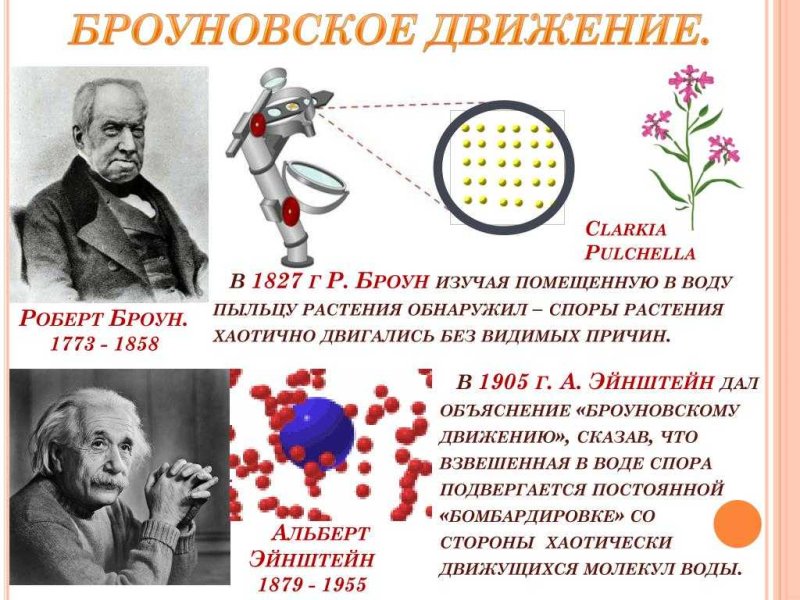 Роберт Броун броуновское движение