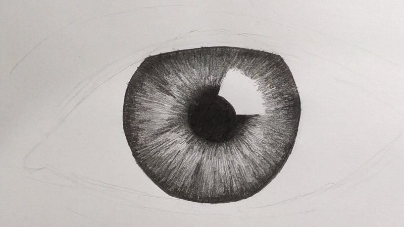 Зрачок карандашом