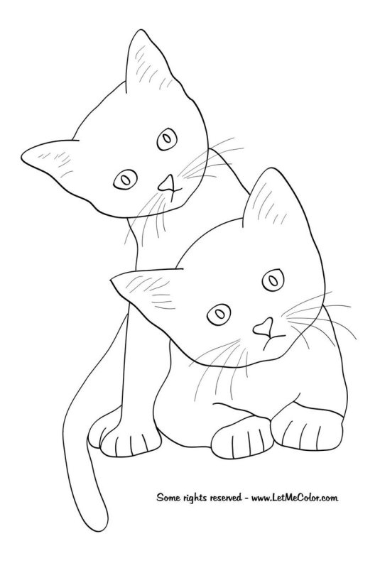Рисунки котят для срисовки