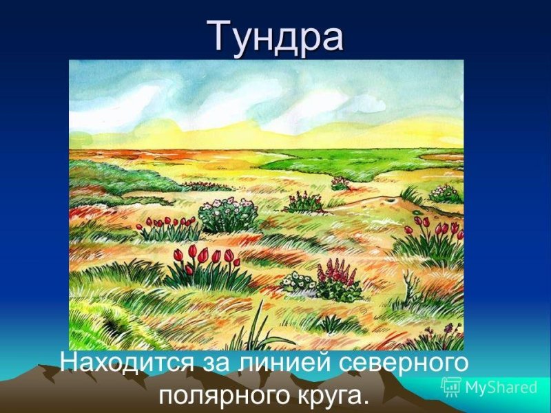 Рисунок природной зоны