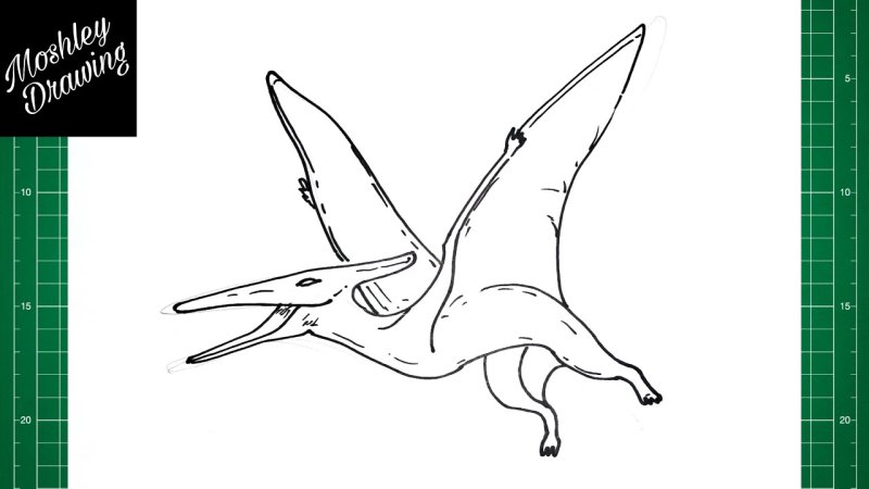 Птеродактиль рисунок