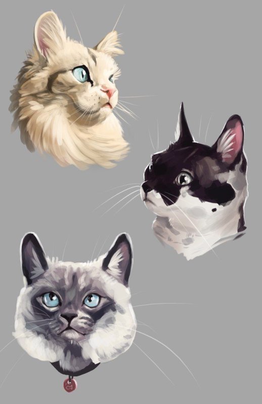 Кот арт