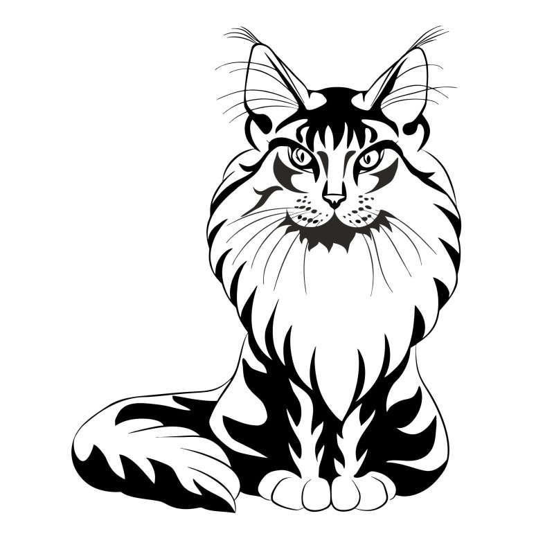 Рисунок Мейн куна