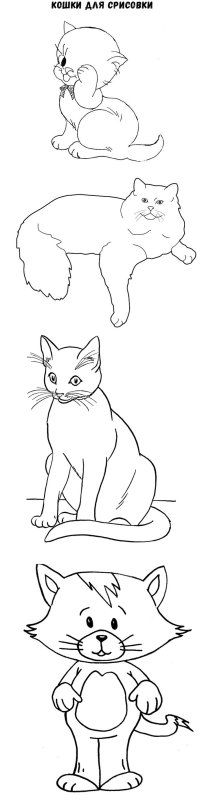 Рисунки котят для срисовки
