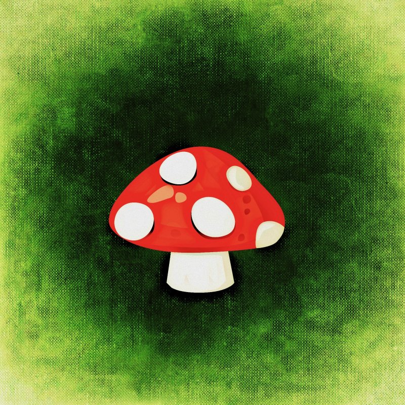 Эстетика мухомор инди КИД