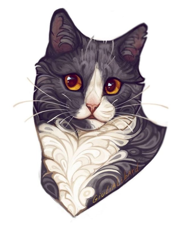 Кот арт
