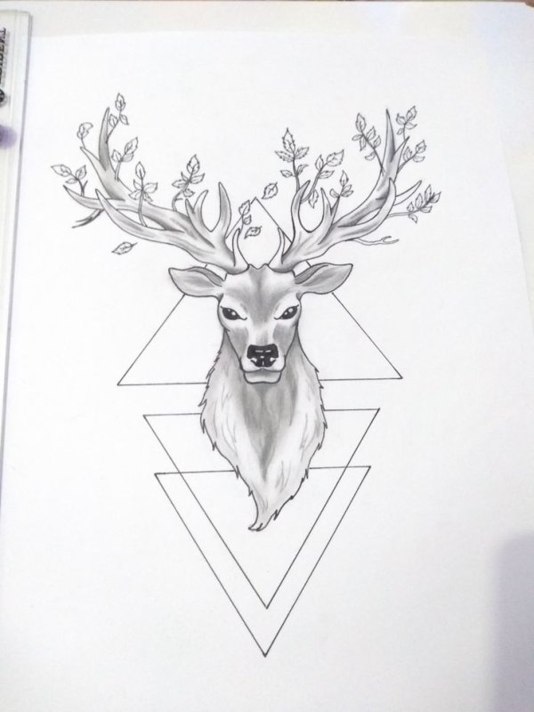 эскиз оленя