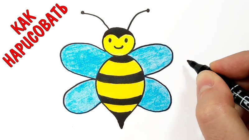 рисунок пчела для детей