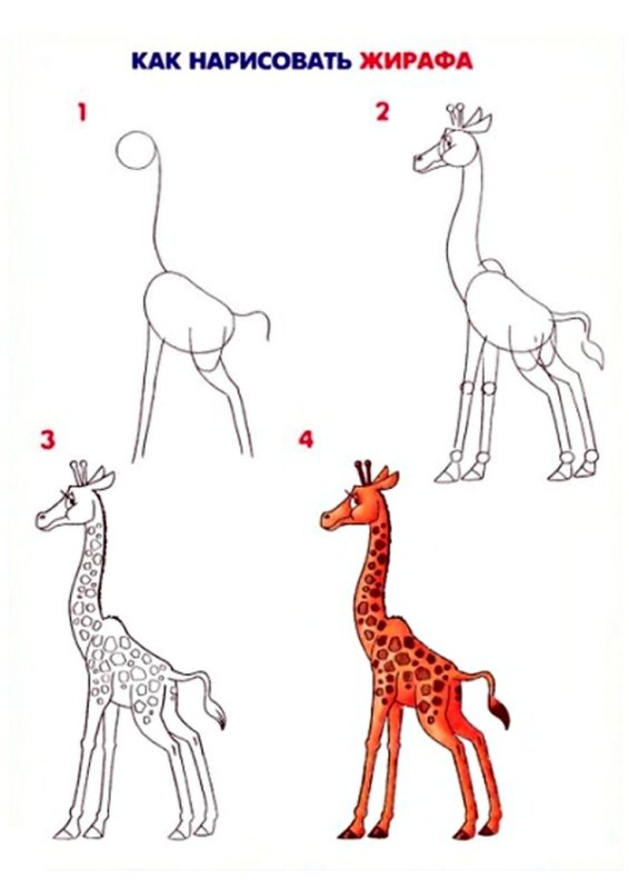 рисуем жирафа поэтапно для детей 1 класс