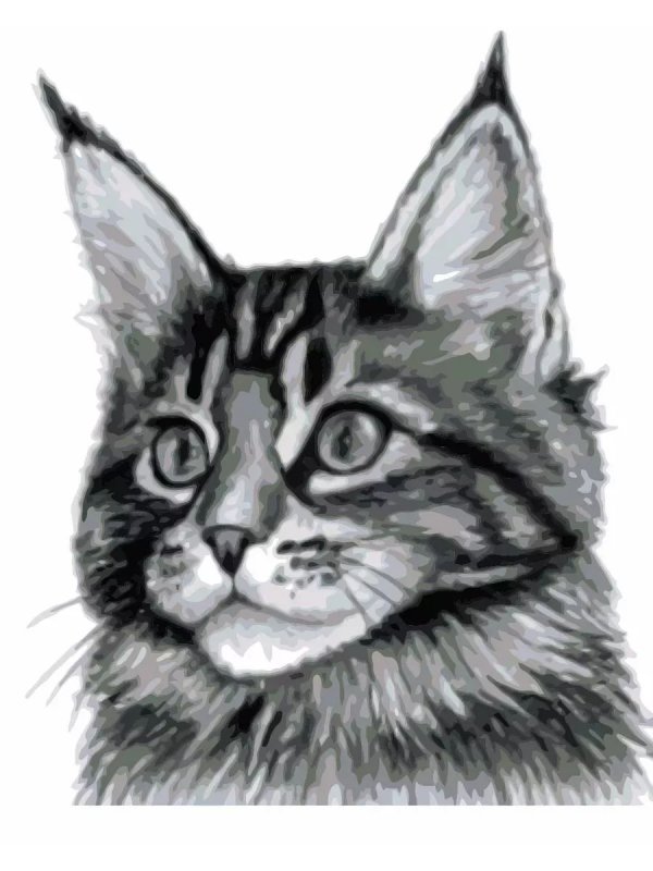 Кошка рисунок карандашом