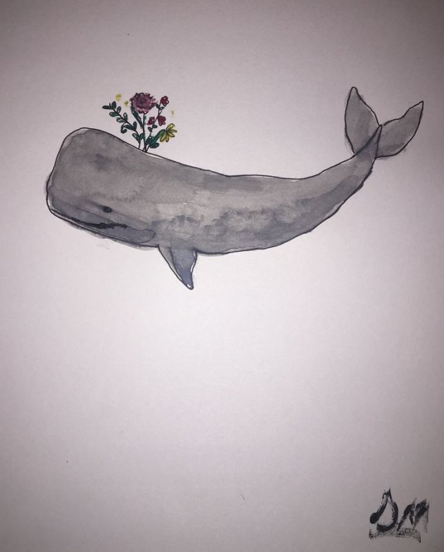 Кит рисунок