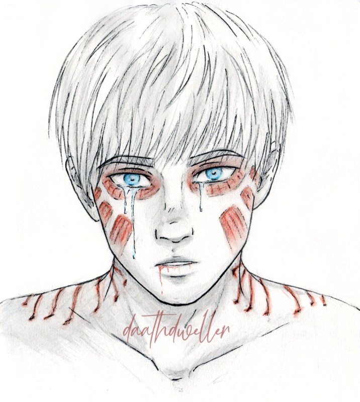 Армин рисунок