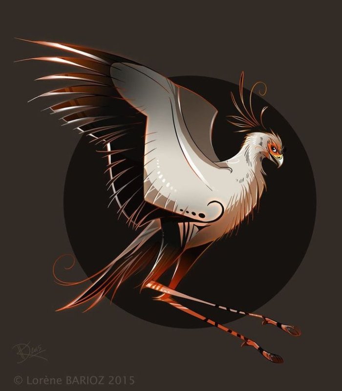Птица-секретарь Sagittarius serpentarius