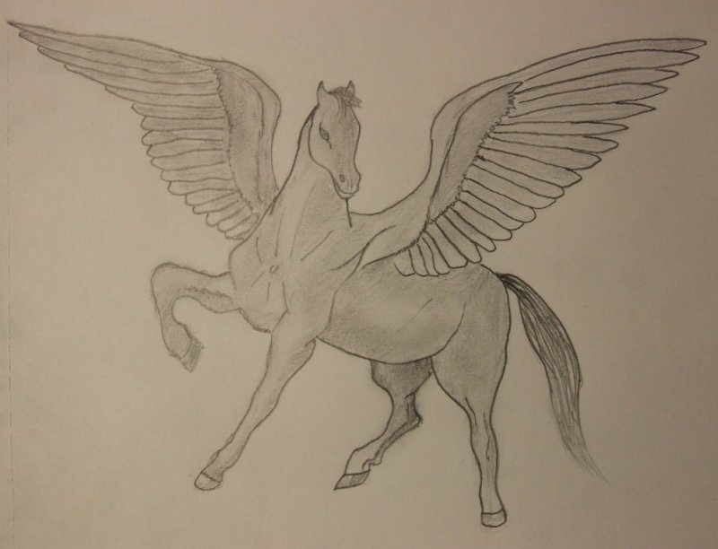 Пегас рисунок