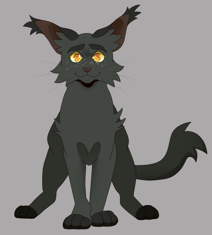 Коты Воители Серокрыл