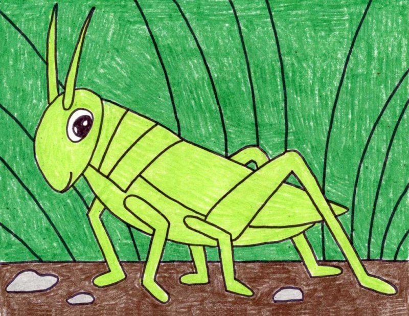 Нарисовать кузнечика