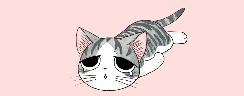 Котик Чии