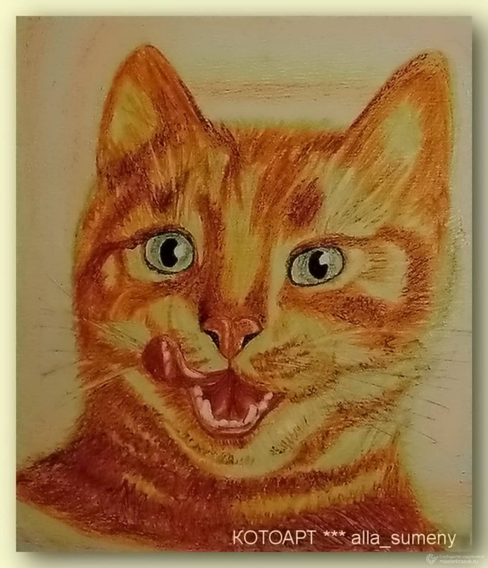 Рыжий кот рисунок