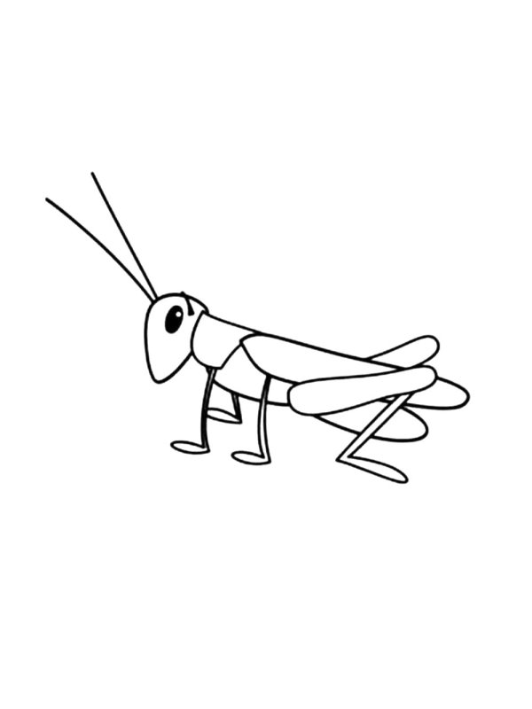 Кузнечик рисунок для детей раскраска