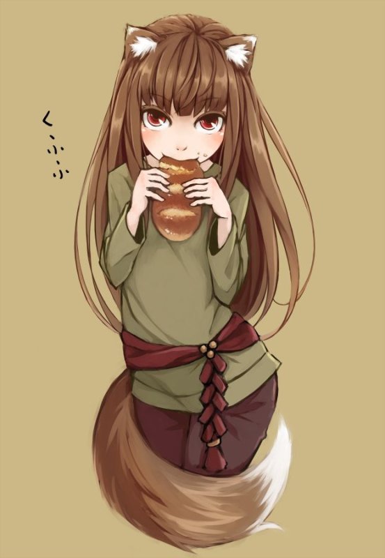 Холо мудрая