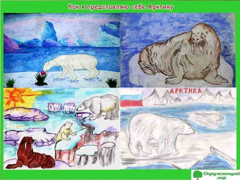 Арктика рисунок для 4 класса