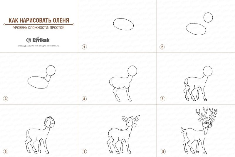 Поэтапное рисование оленя для детей
