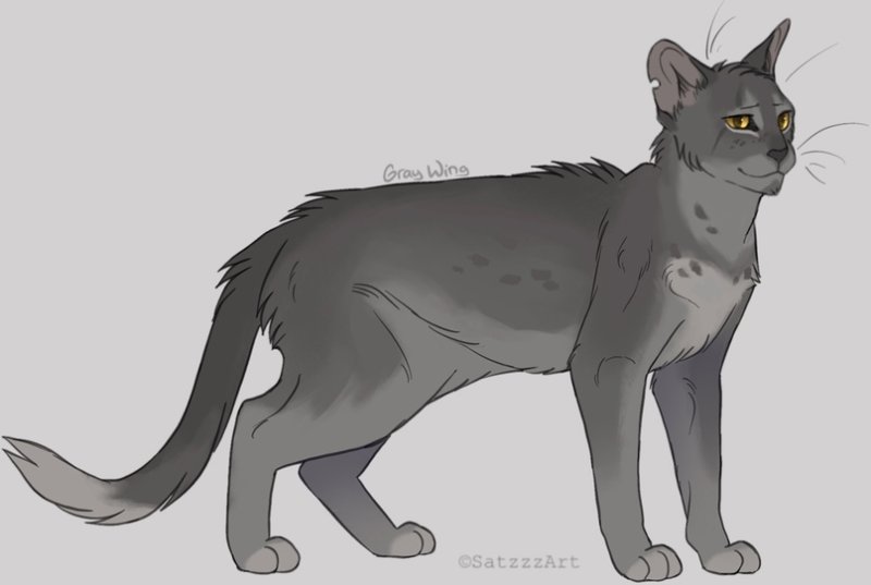 Серое крыло коты Воители арты