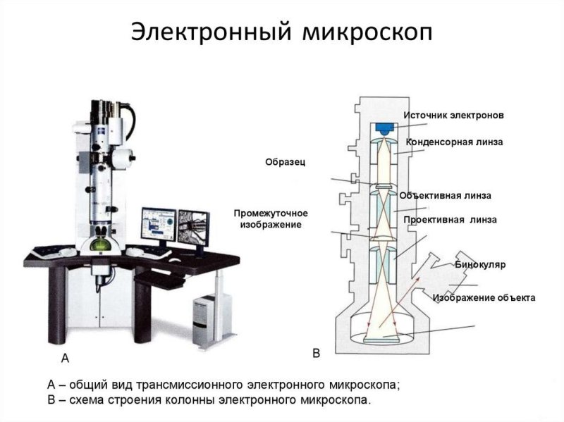 Цифровой электронный микроскоп микроскоп строение