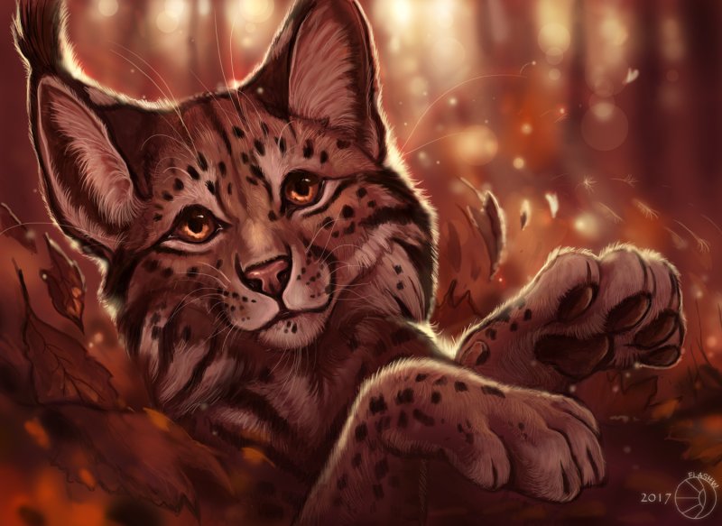 WILDCRAFT Рысь арт