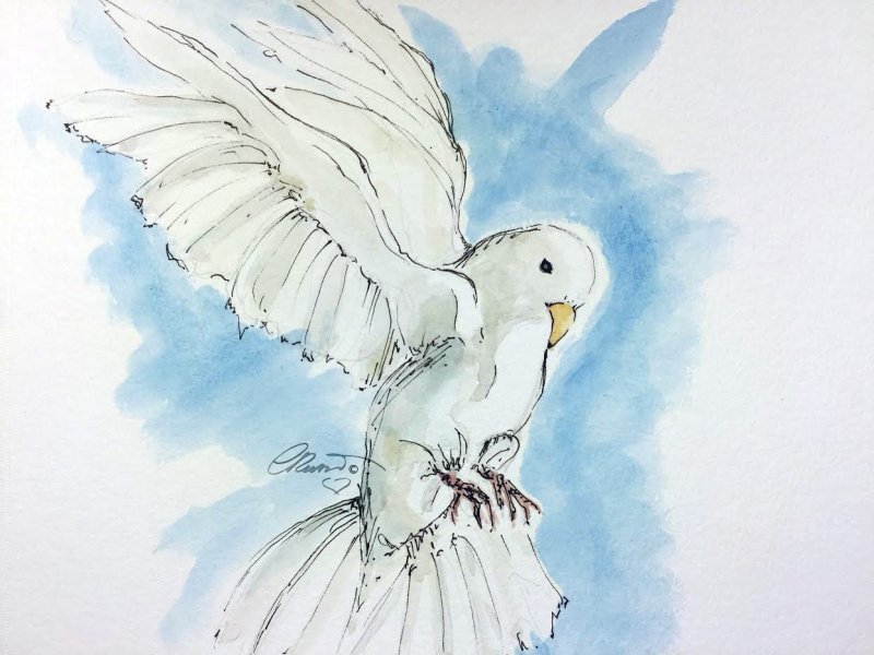 Голубь рисунок