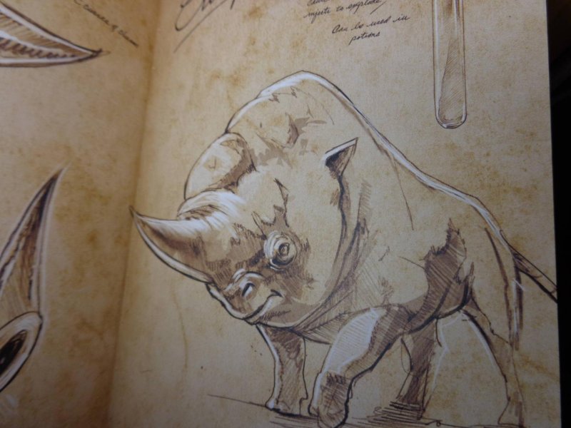 фантастические твари рисунки