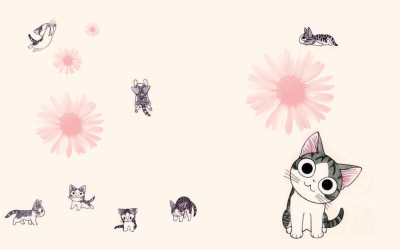 Котенок Чии обои