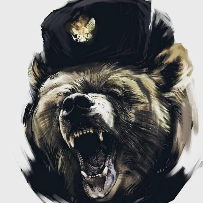 Боевой медведь