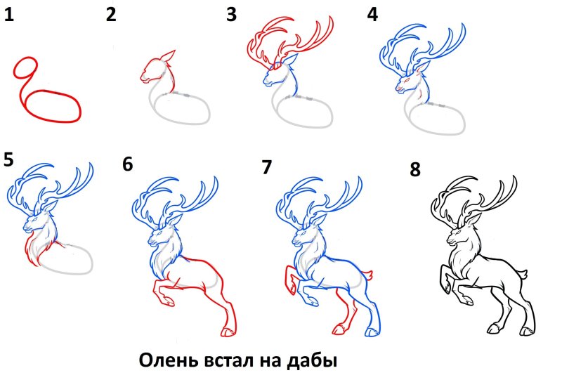 Рисунки карандашом для начинающих