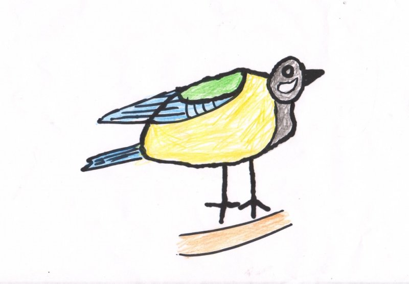 Синичка для срисовки легкие