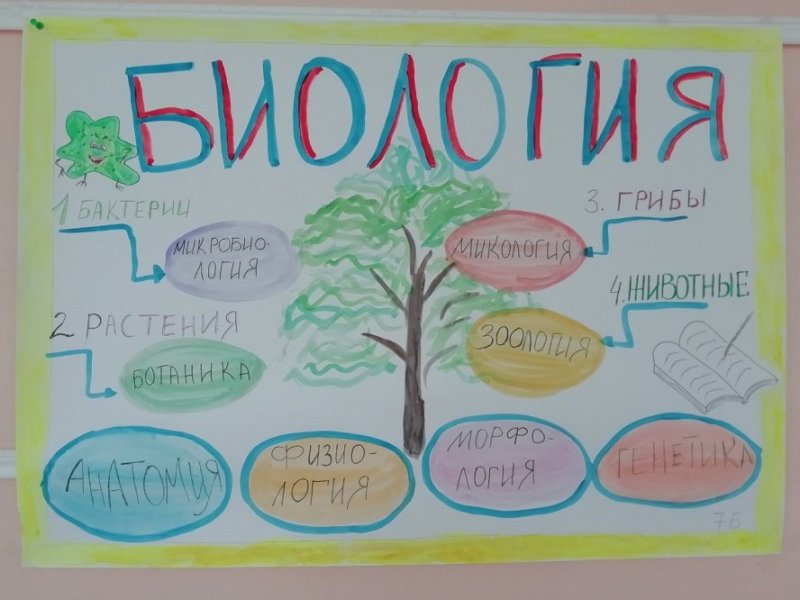 Стена газета по биологии
