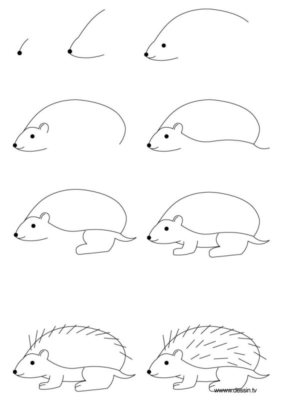 Легкие рисунки