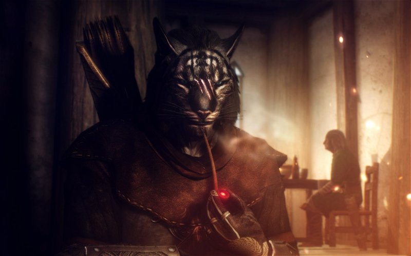 The Elder Scrolls арт каджит