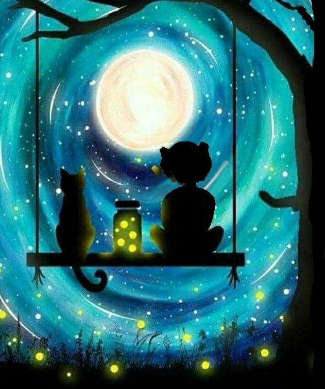 Волшебная ночь