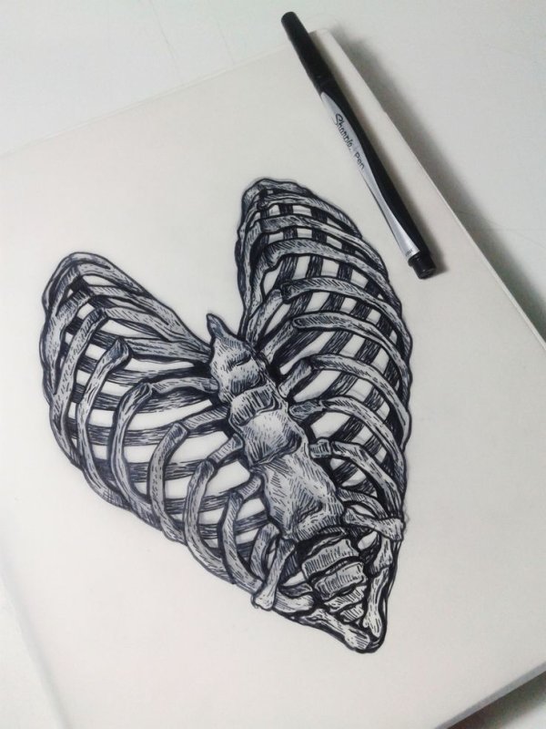 Скелет эскиз