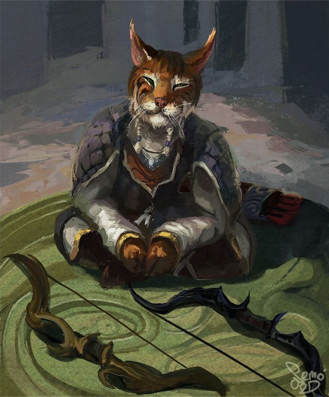 The Elder Scrolls каджит