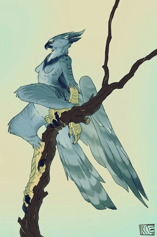 Avian Грифон