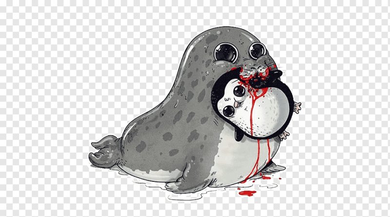 милые тюлени