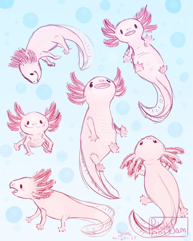 Фурсона аксолотль