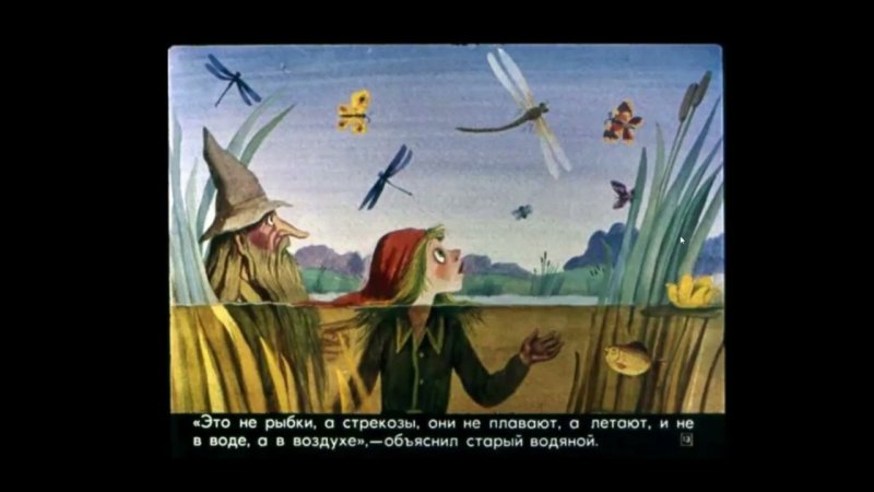 Пройслер маленький водяной