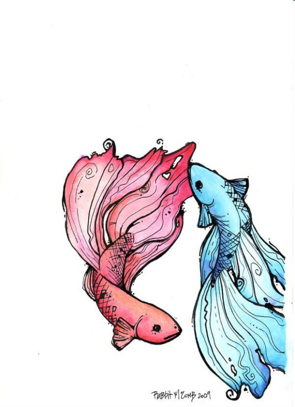 Рисунок рыбы для срисовки