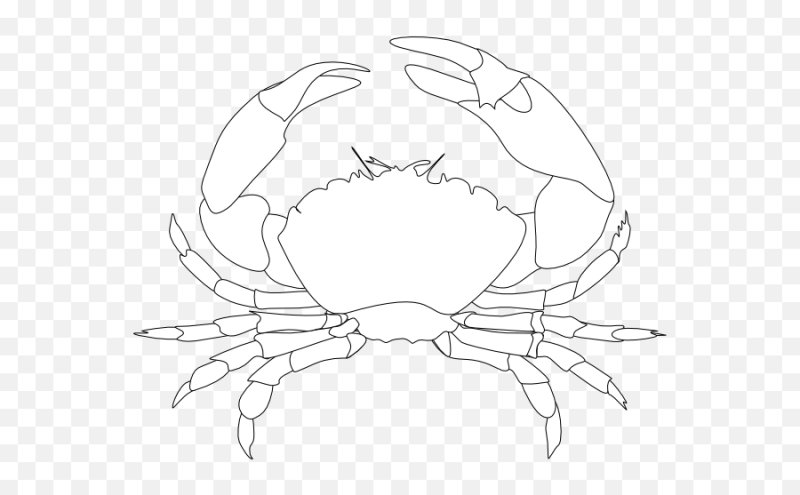 Краб рисунок ручкой