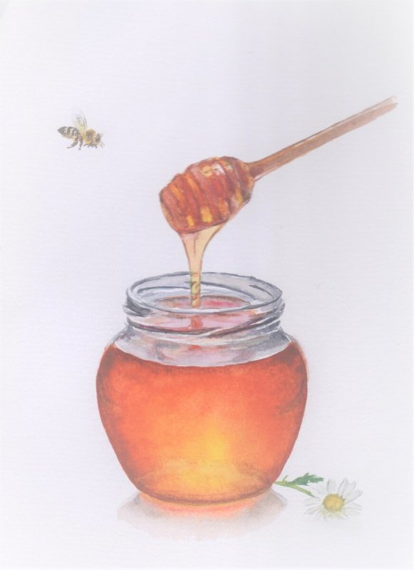Башкирский мед рисунок