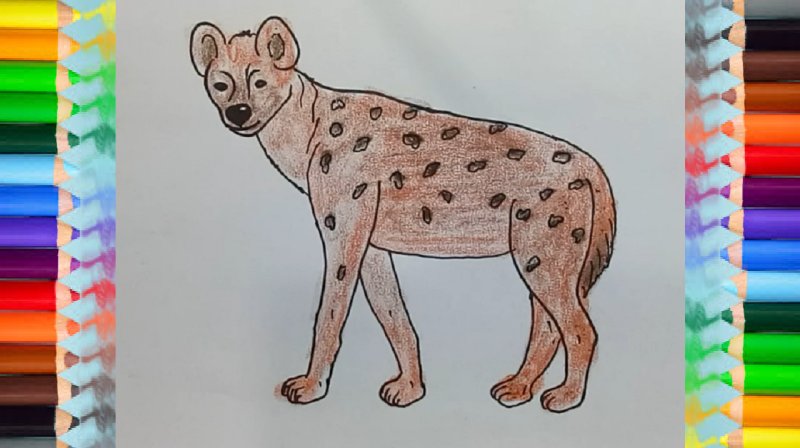 Гиена рисунок